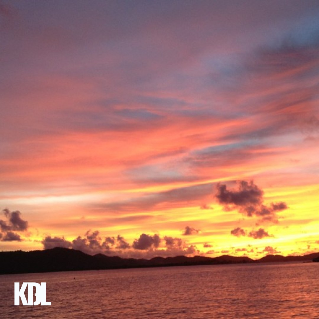 Das Haus in dem ich lebe - mein Körper